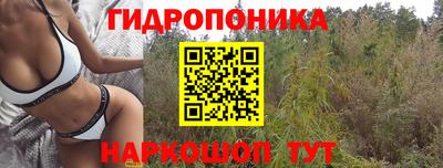 дживик Нарткала