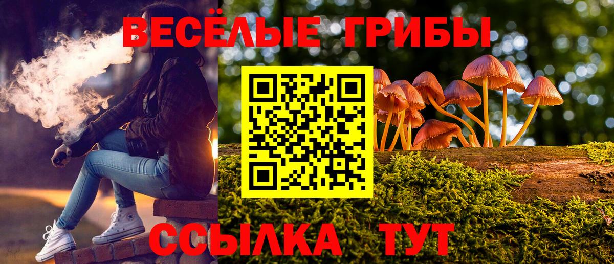 Галлюциногенные грибы GOLDEN TEACHER  Вход с VPN  Усть-Джегута 